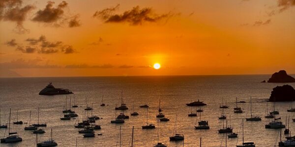 pexels-laurab-2040771016-29152327