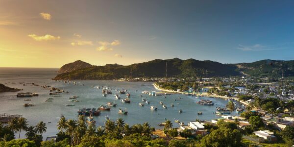 pexels-quang-nguyen-vinh-222549-2155909