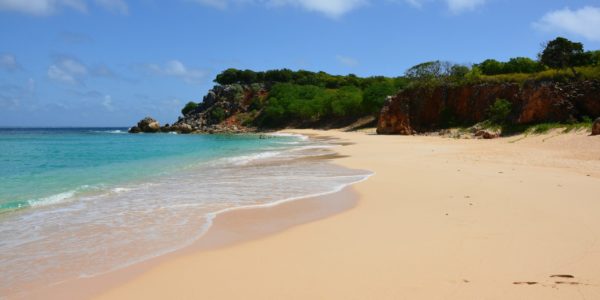 tintamarre tintamarre